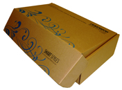 Color Printed Auto Lock Box